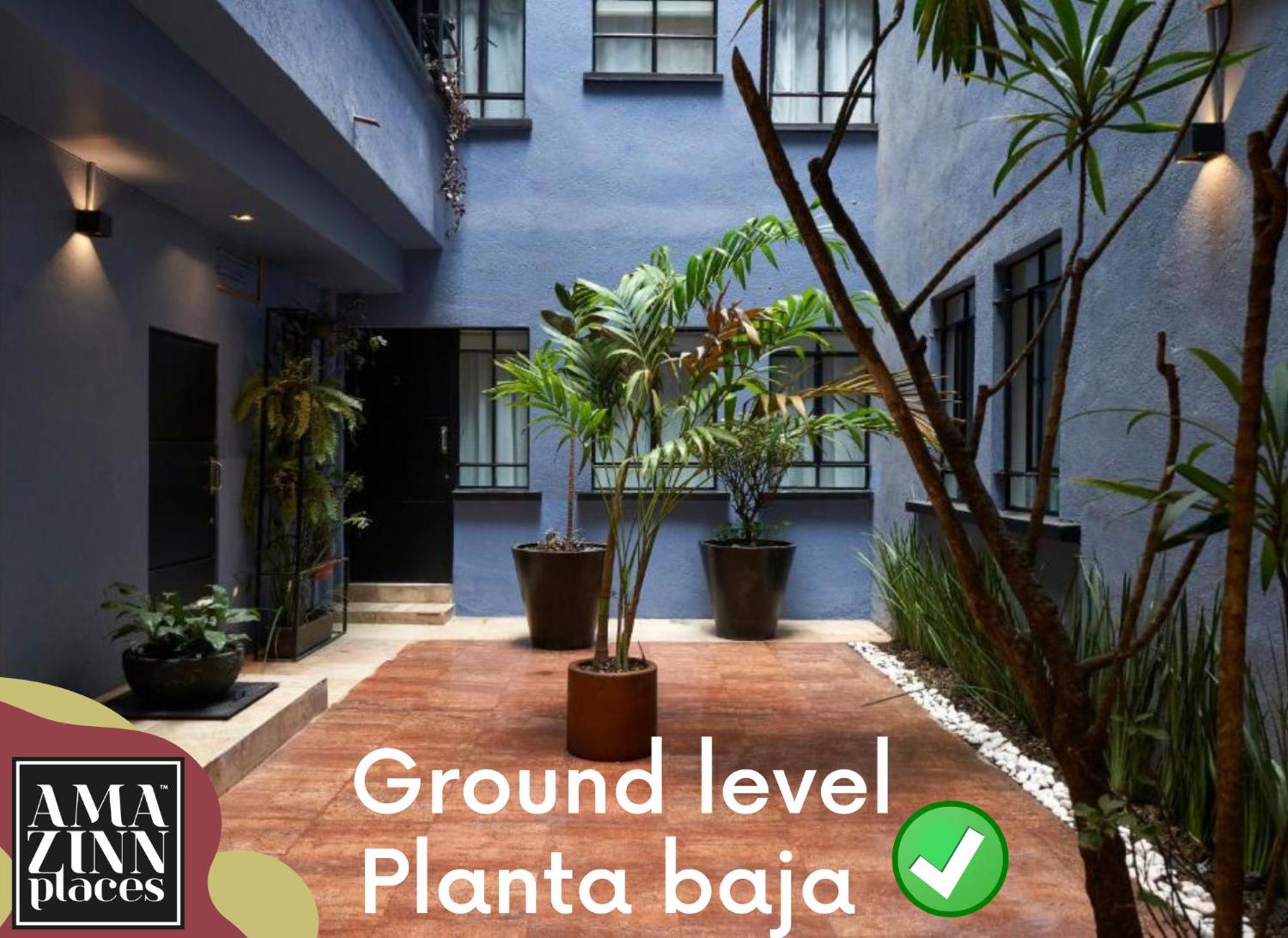 Amazinn Places La Condesa Roma Kota Meksiko Bagian luar foto